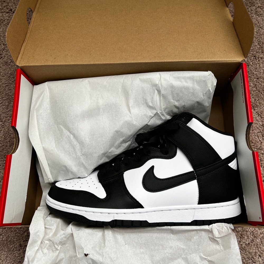 Nike Dunk Hi Retro